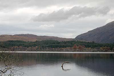 wooden diver in the loch
